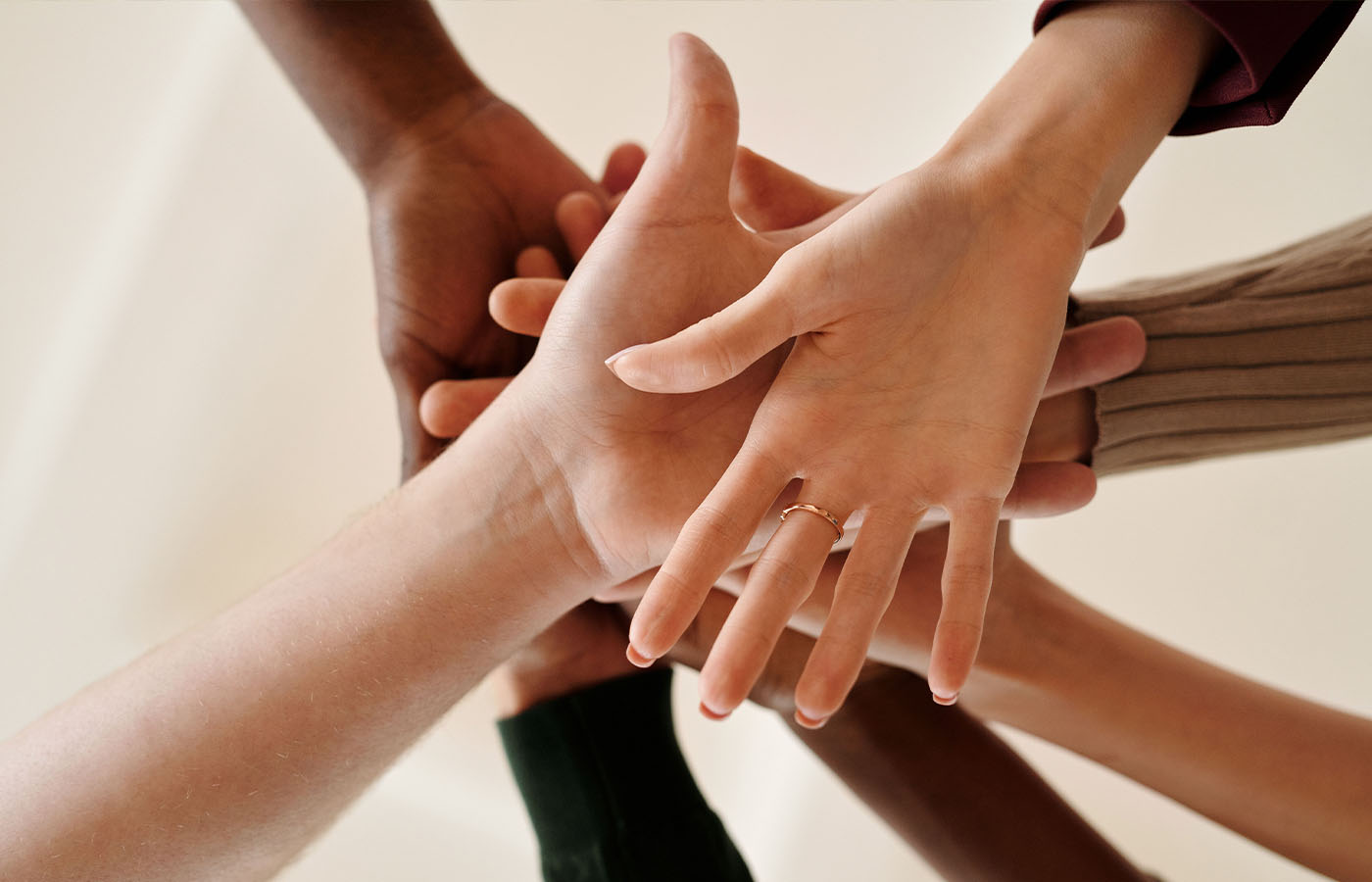Attività di supporto e relazione